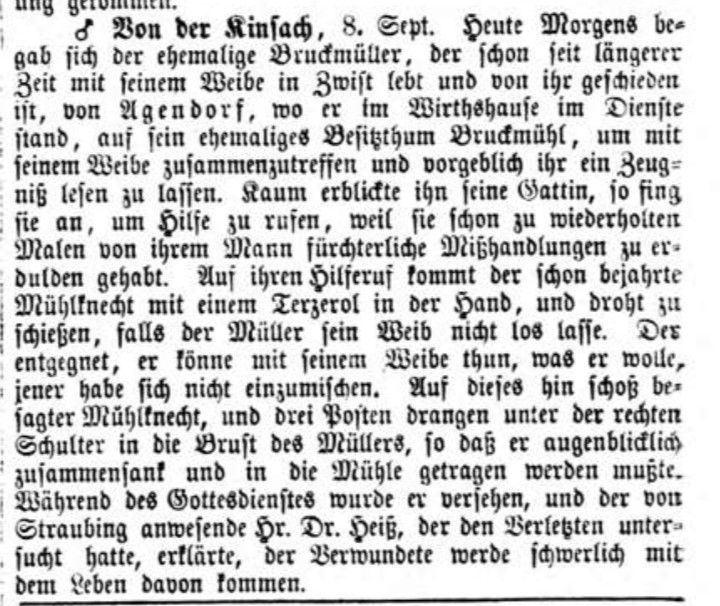 Straubinger Tagblatt 1869