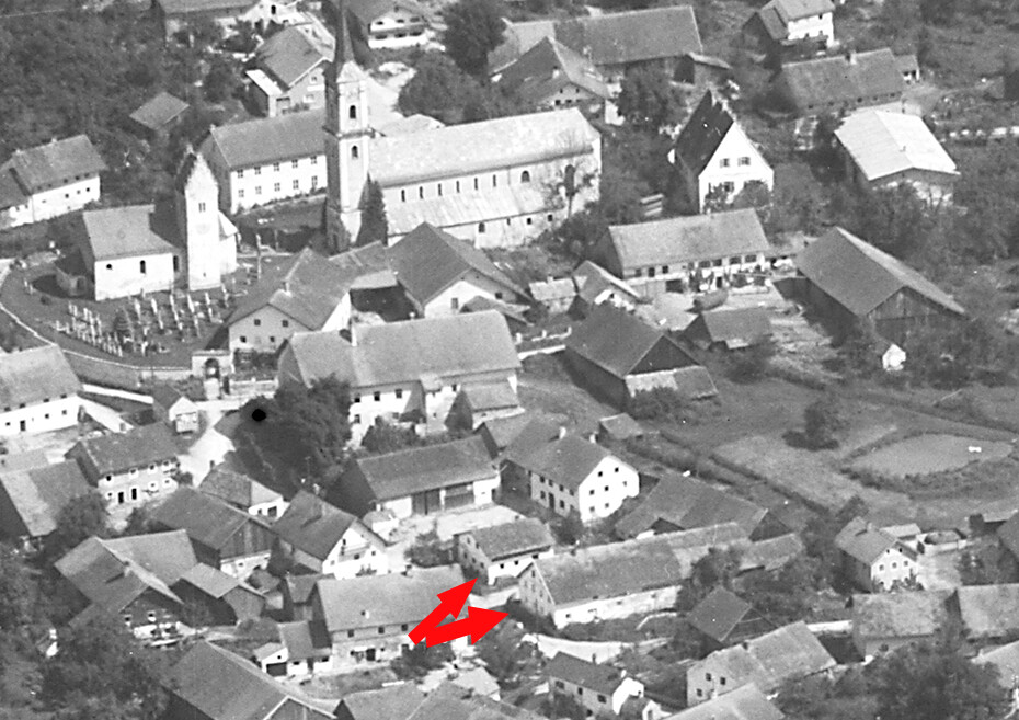 neg stei 12 kopie 4