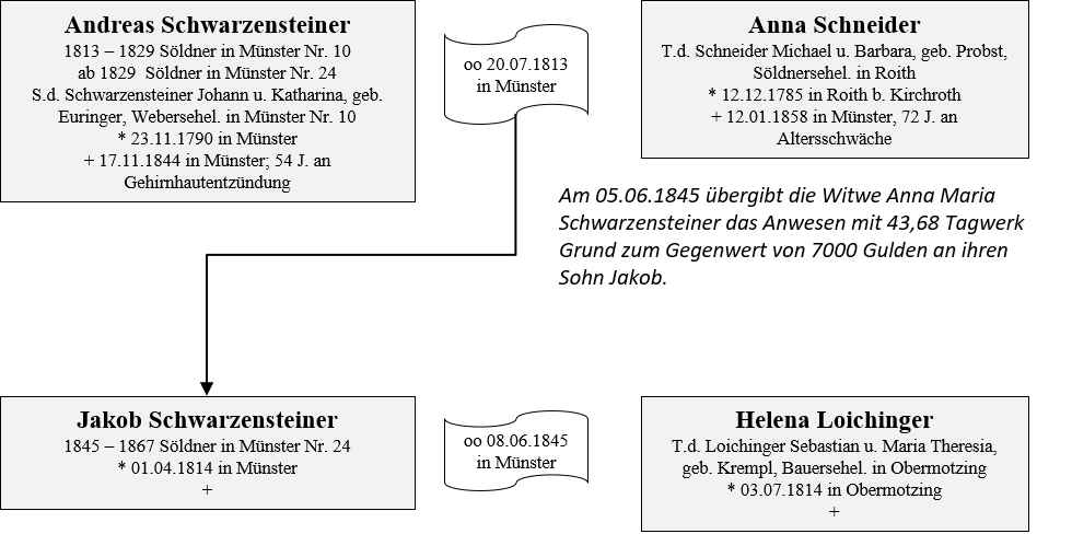 Schwarzensteiner Besitzer