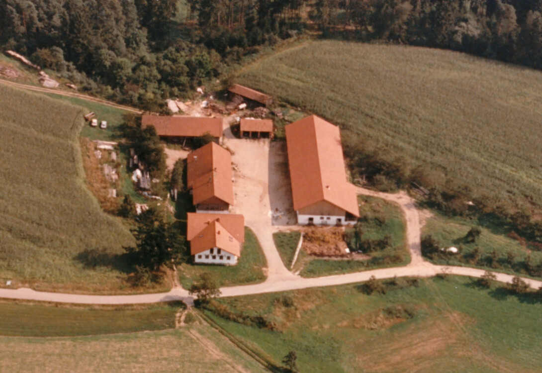 puerstenberg 1991