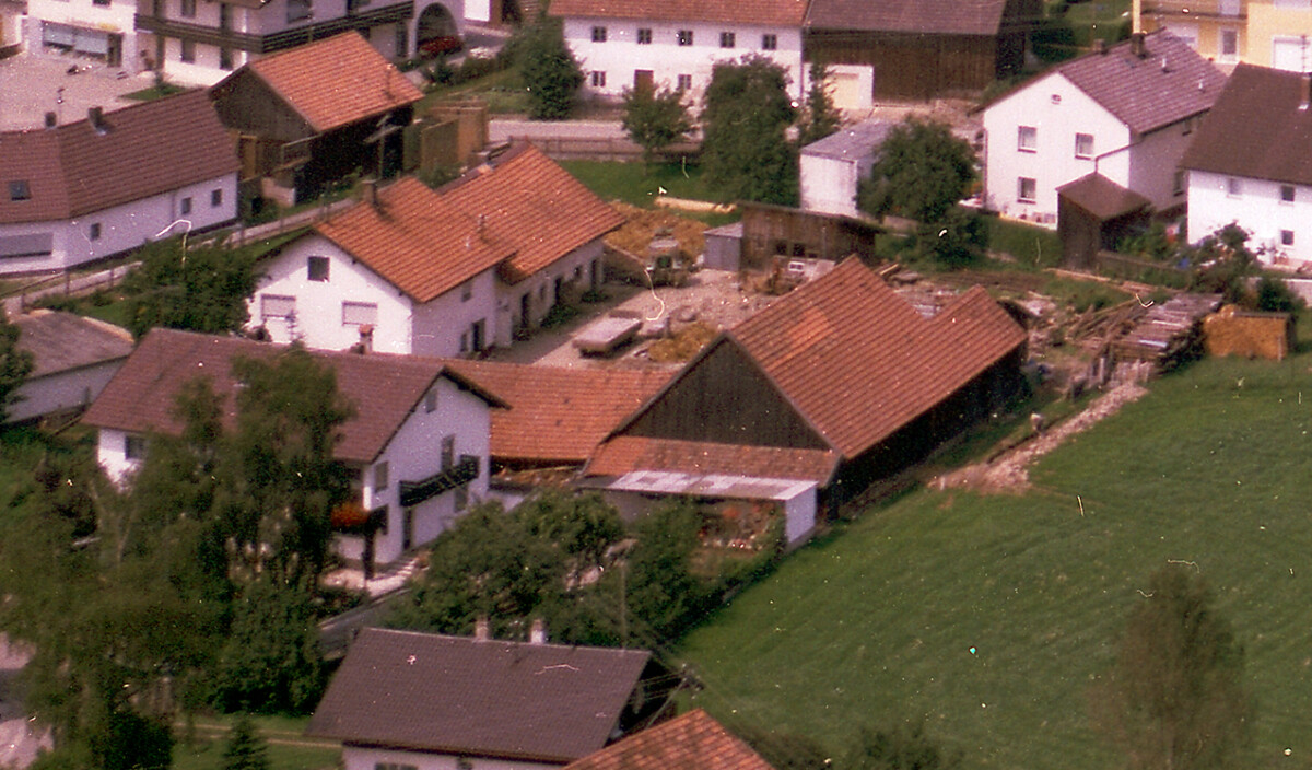 neg stei 79 ausschnitt