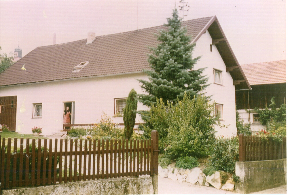 fo stei 396