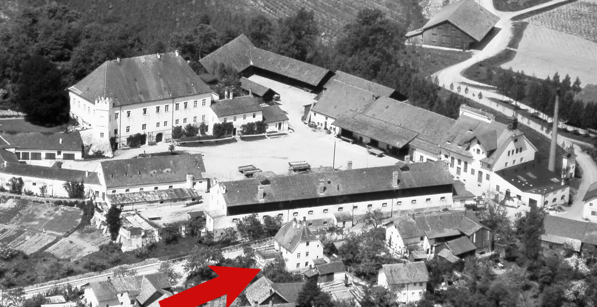 ln 07 neues schloss kopie