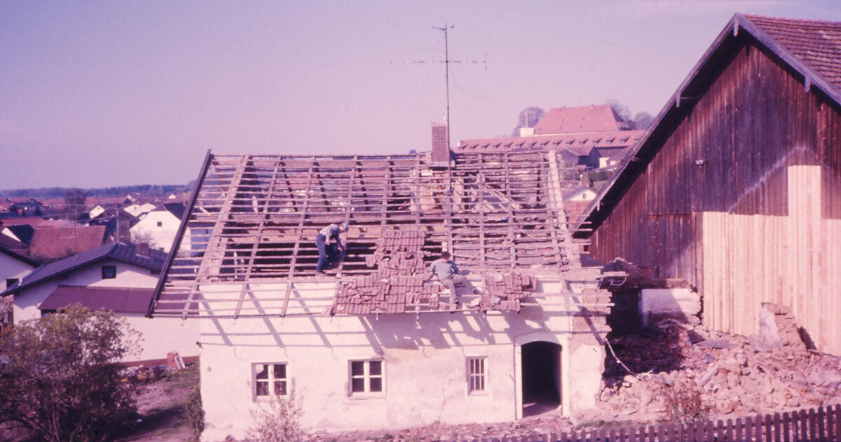 1990 hahn 2 kopie