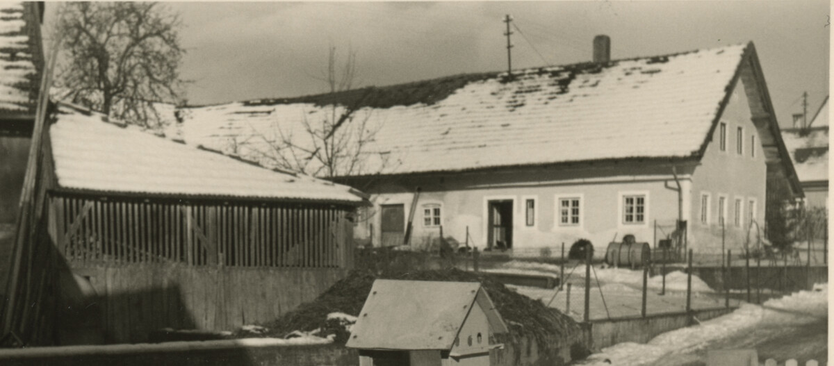 fo stei 807 ausschnitt