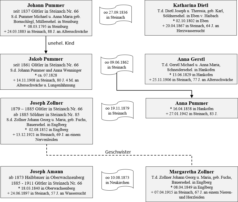 Pummer Amann Besitzer