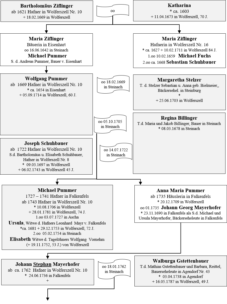 Ziflinger Pummer Besitzer