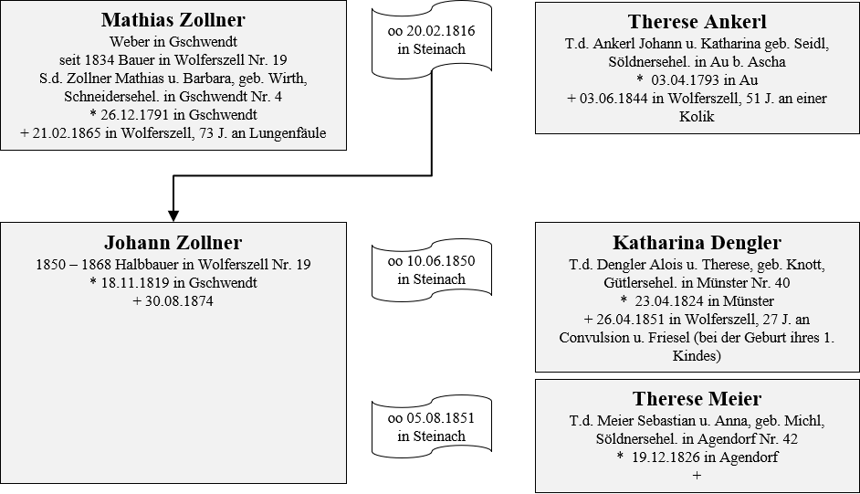 Zollner Besitzer