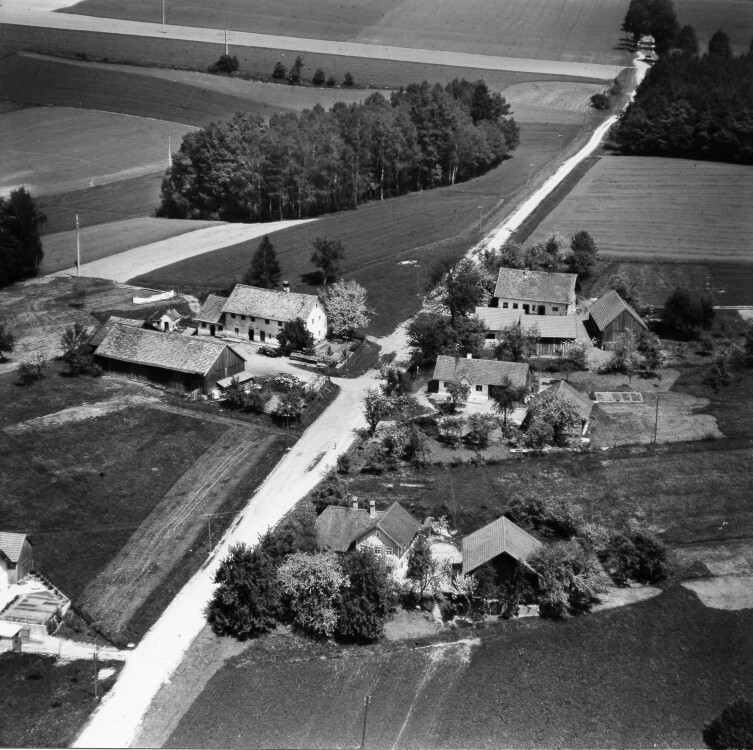 wolfsberg 1956